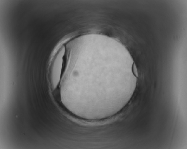 X0000083040006200703022059