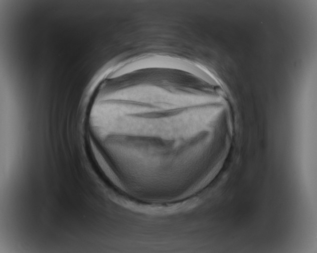 X0000083040007200703022059