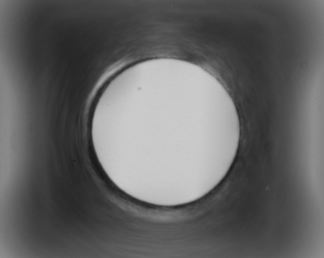 X0000083040008200703022059