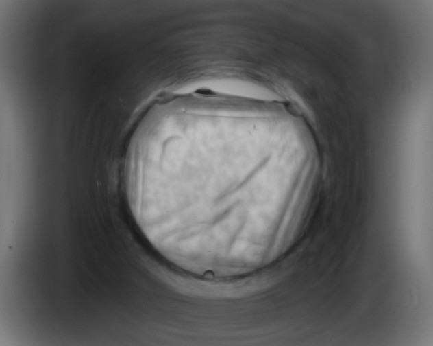 X0000083040010200703022059