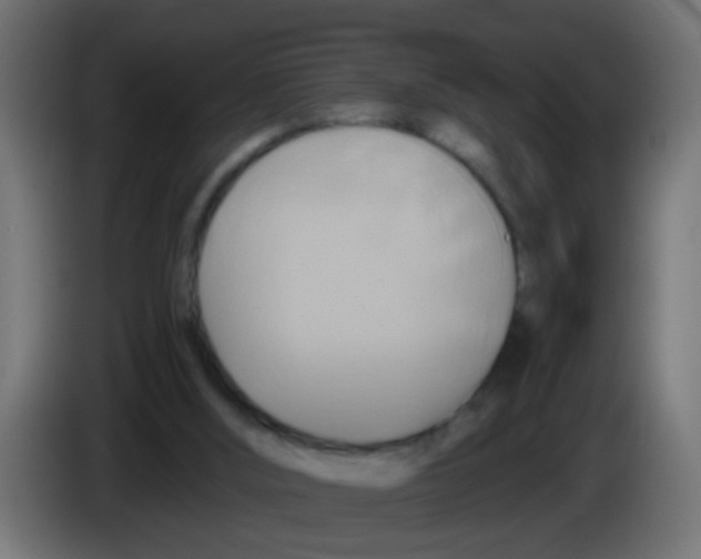 X0000083040012200703022059
