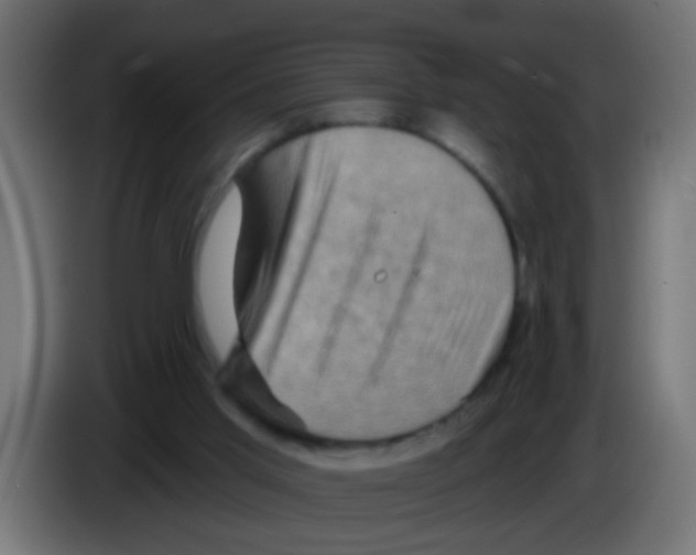 X0000083040013200703022059