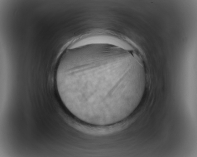 X0000083040015200703022059