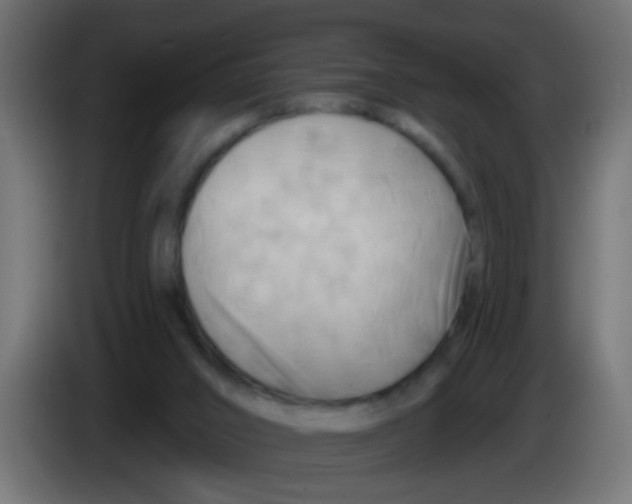 X0000083040016200703022058