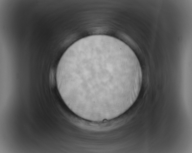 X0000083040022200703022058