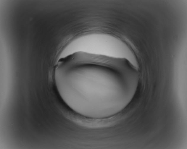 X0000083040023200703022058