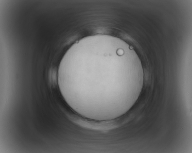 X0000083040028200703022058