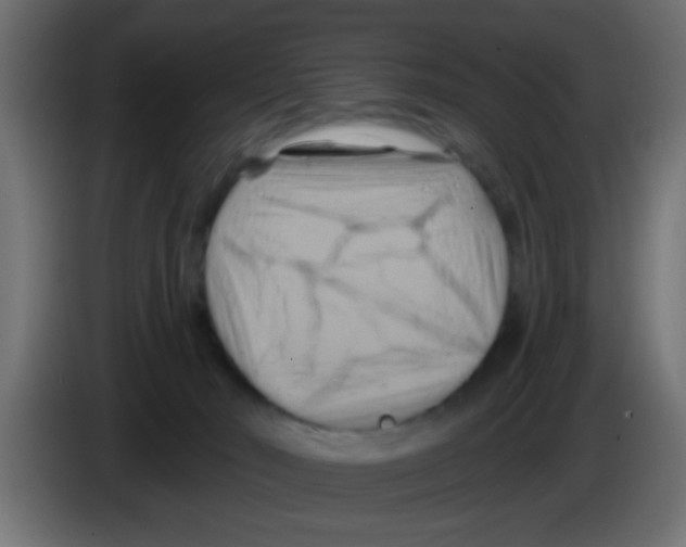 X0000083040030200703022058