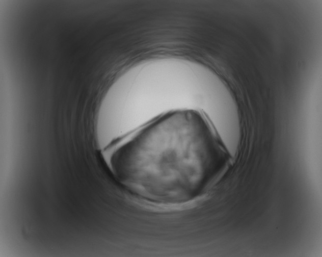 X0000083040031200703022058