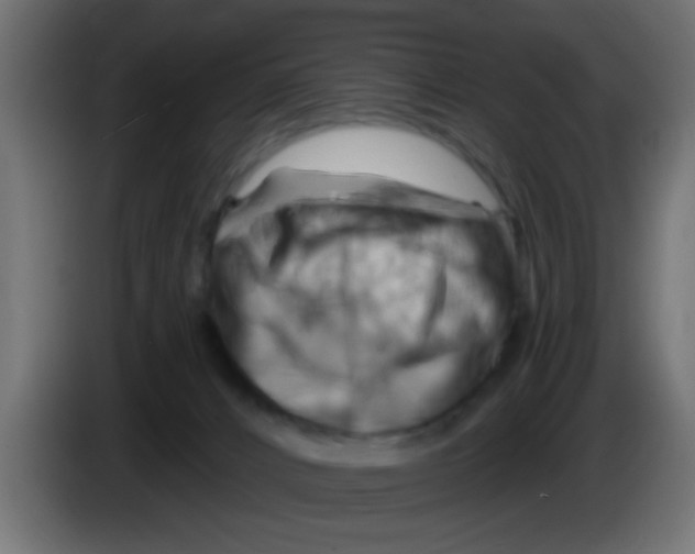 X0000083040032200703022058