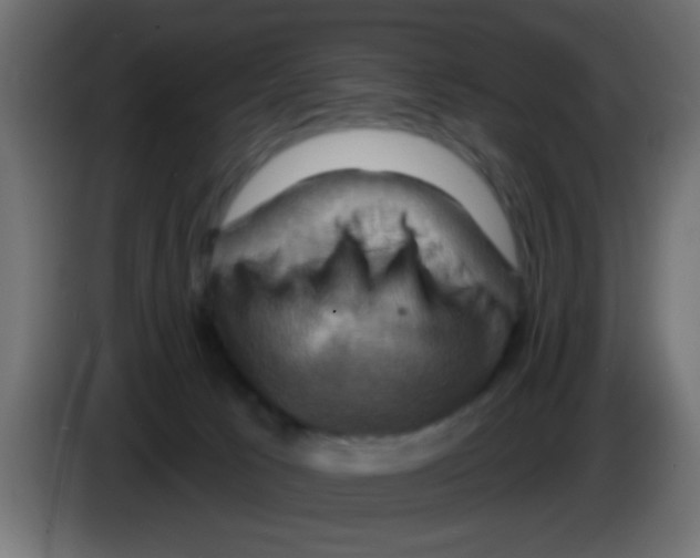 X0000083040033200703022058