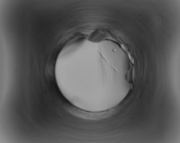 X0000083040035200703022058