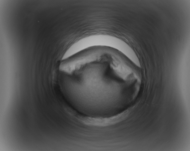 X0000083040037200703022058