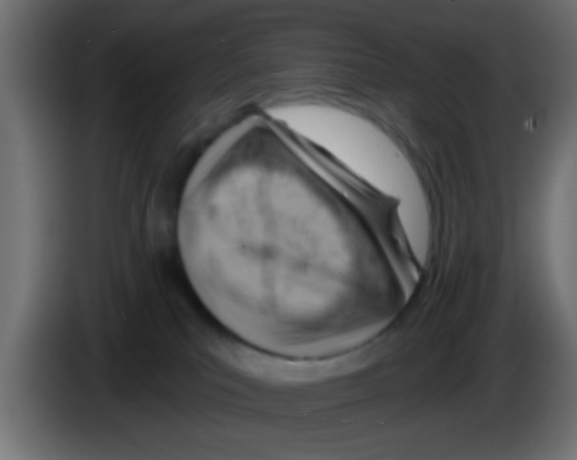 X0000083040039200703022058
