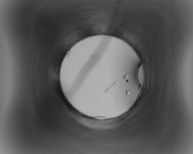 X0000083040040200703022058