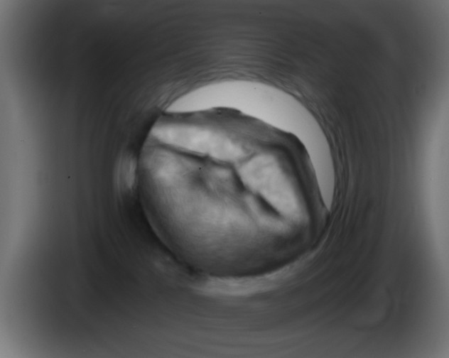X0000083040041200703022058