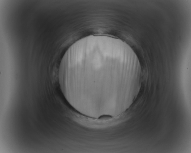 X0000083040043200703022058