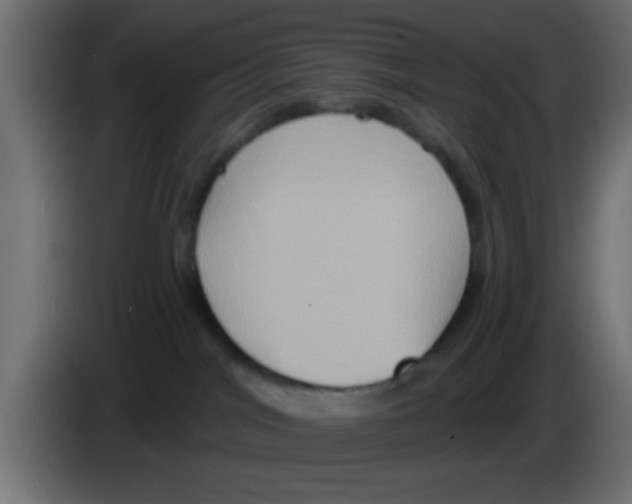 X0000083040044200703022058