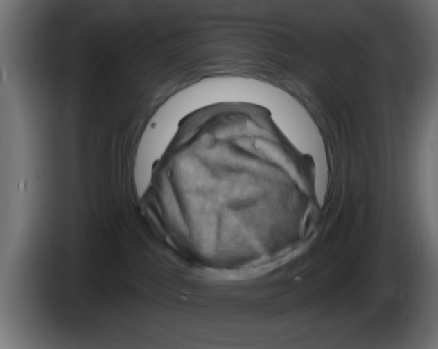X0000083040045200703022058