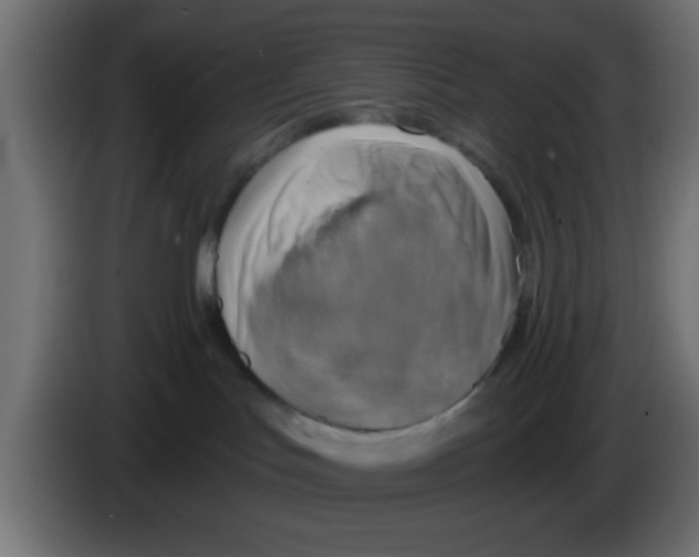 X0000083040047200703022058