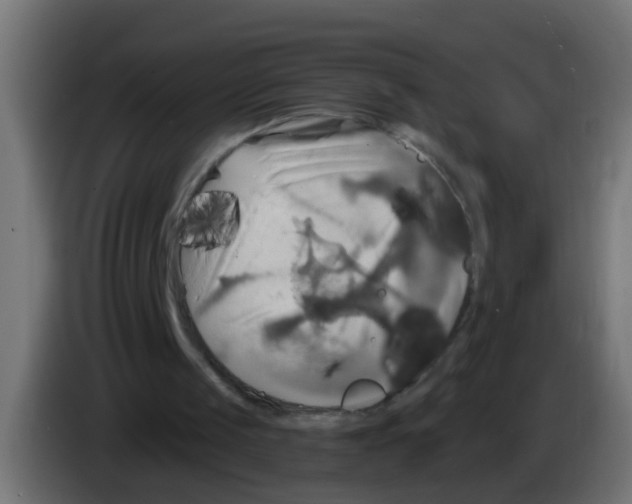 X0000083040049200703022057