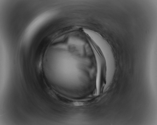 X0000083040052200703022057