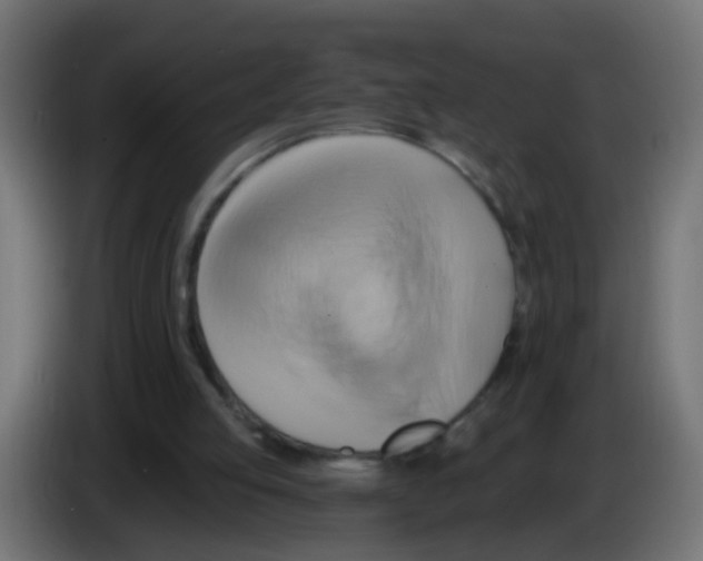 X0000083040053200703022057