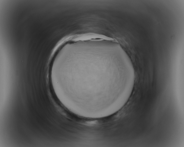 X0000083040054200703022057