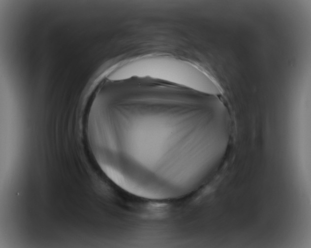 X0000083040055200703022057