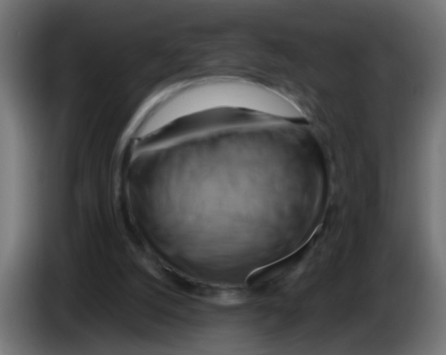 X0000083040056200703022057
