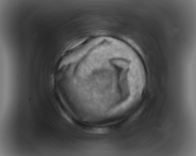 X0000083040057200703022057