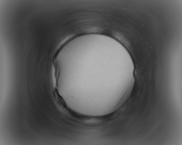 X0000083040058200703022057
