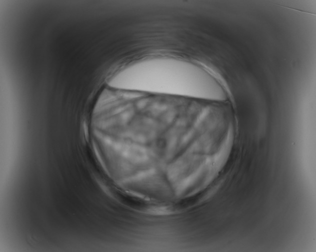 X0000083040061200703022058