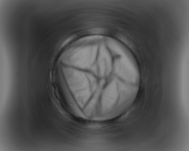 X0000083040062200703022058