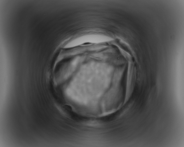 X0000083040063200703022058