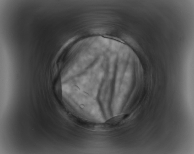 X0000083040064200703022058