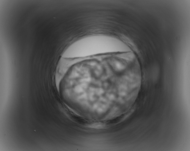 X0000083040065200703022058