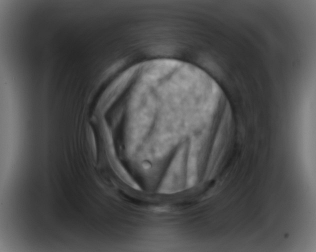 X0000083040068200703022058