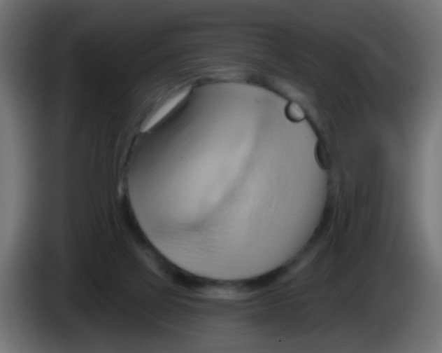 X0000083040069200703022058