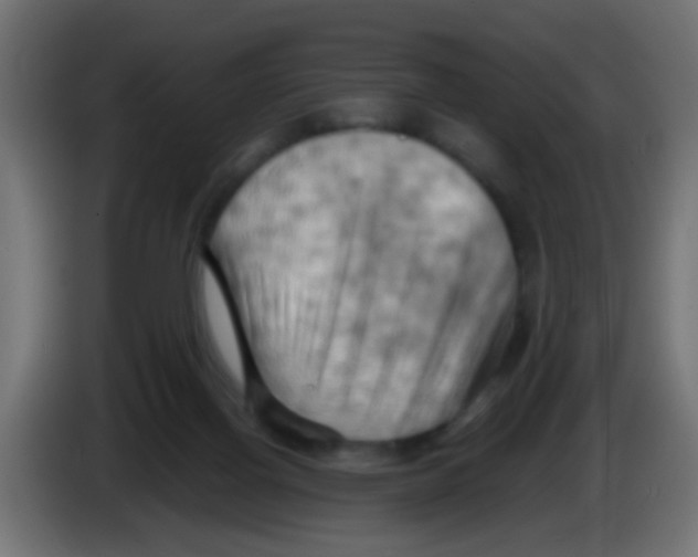 X0000083040070200703022058