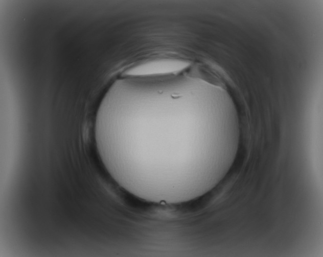 X0000083040071200703022058