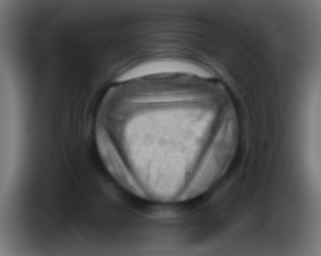 X0000083040073200703022058
