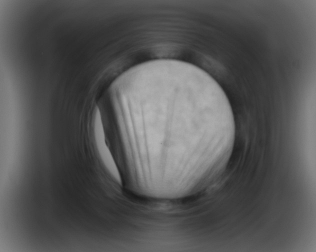 X0000083040074200703022058