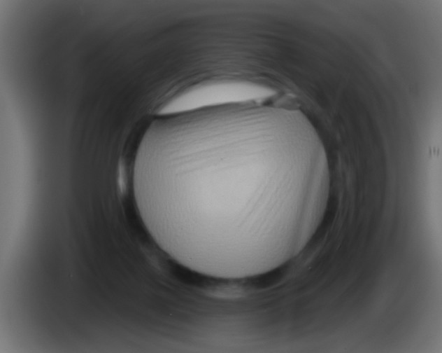 X0000083040075200703022058