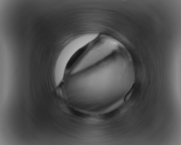 X0000083040076200703022058