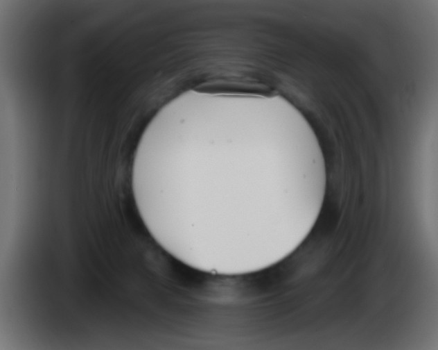 X0000083040079200703022058