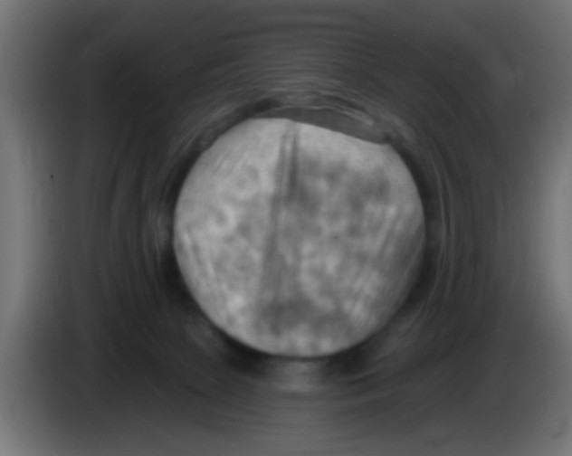 X0000083040081200703022058