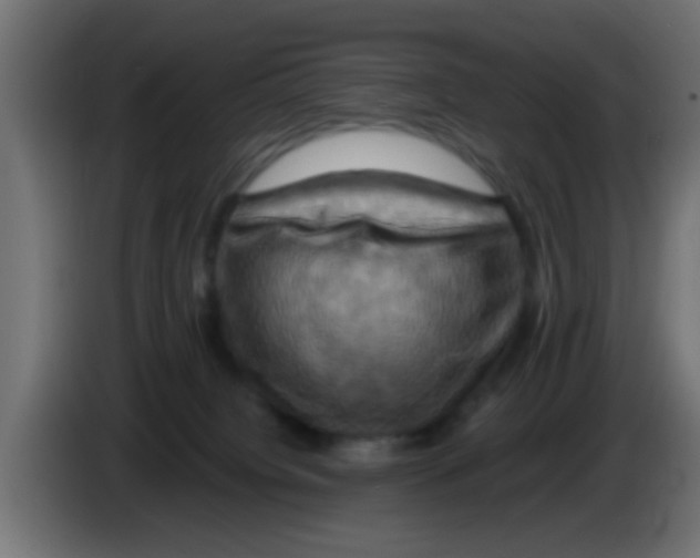 X0000083040084200703022058
