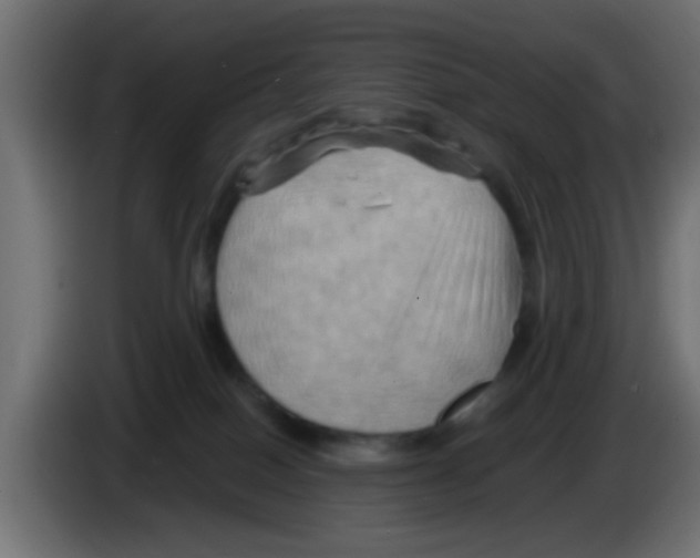 X0000083040086200703022058