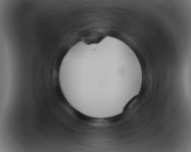 X0000083040087200703022058
